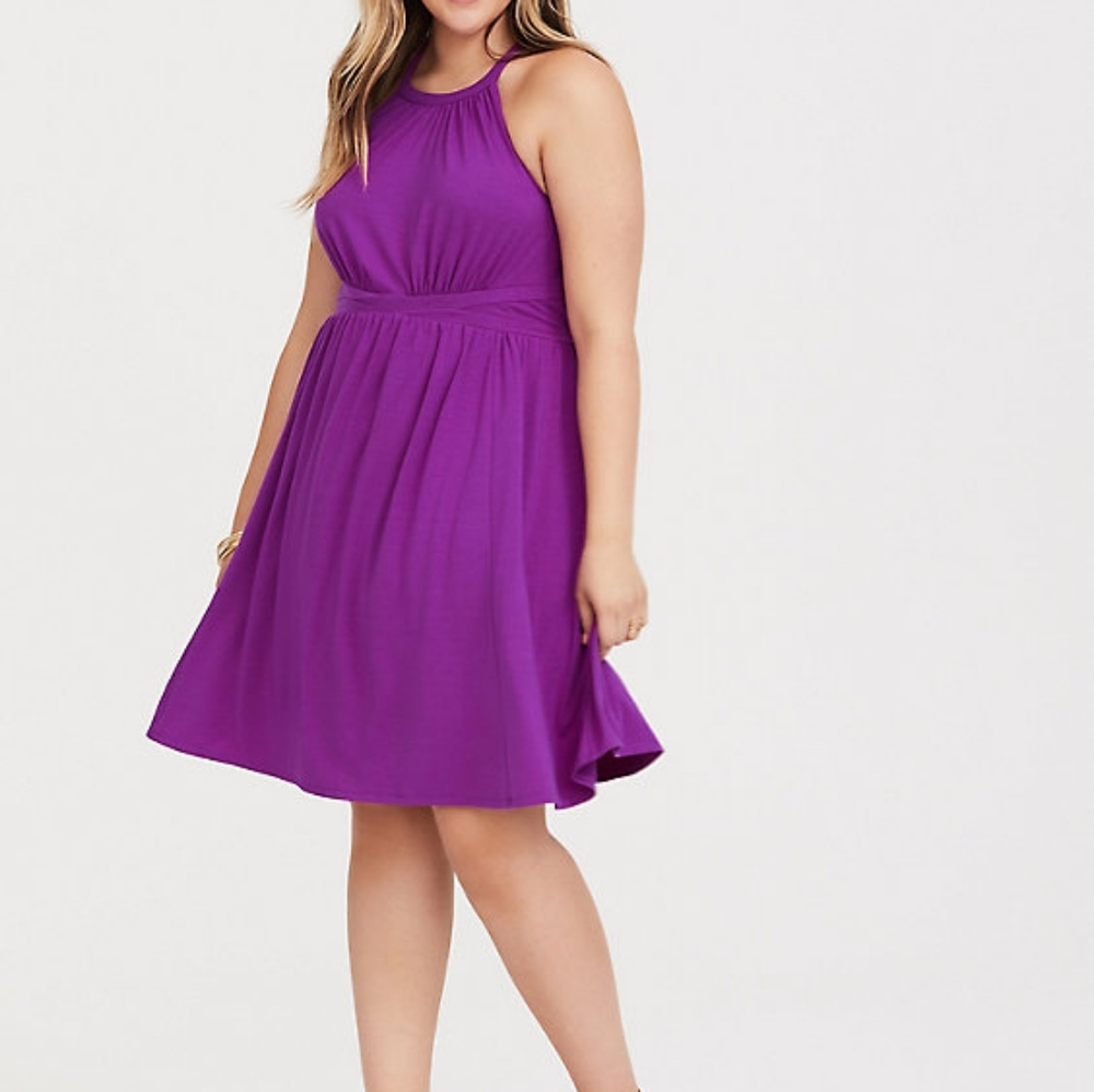 Torrid skater dress